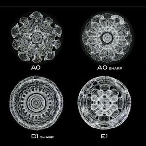 Meet your Posher, Ashashley